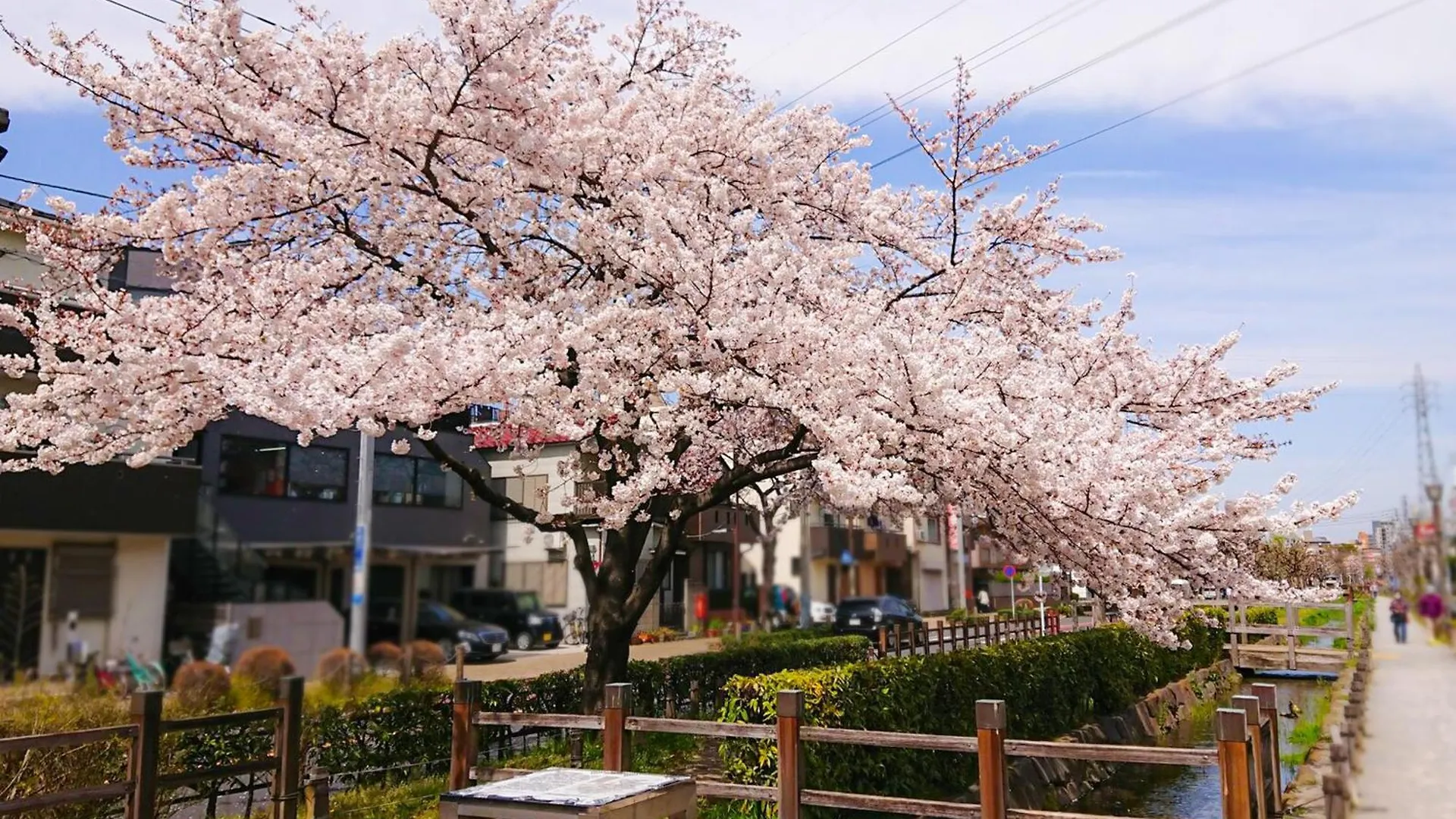 Sc Heights 103 Appartement Tokio Japan